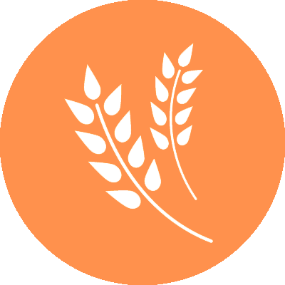 Agriculture – Smart Farming, Better Harvests